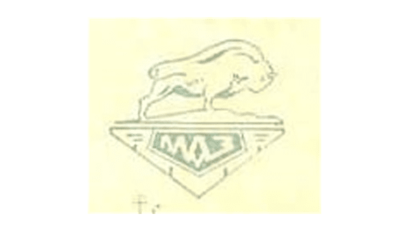 maz history logo