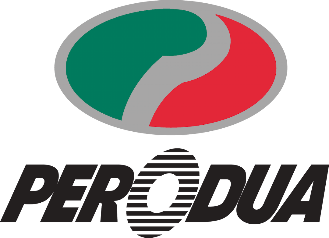 perodua history logo