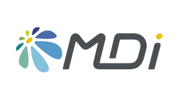 mdi logo